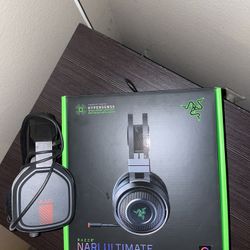 Headset Bundle Razer & Astro