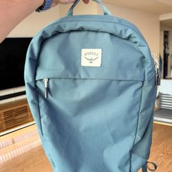 Osprey 20L Backpack 