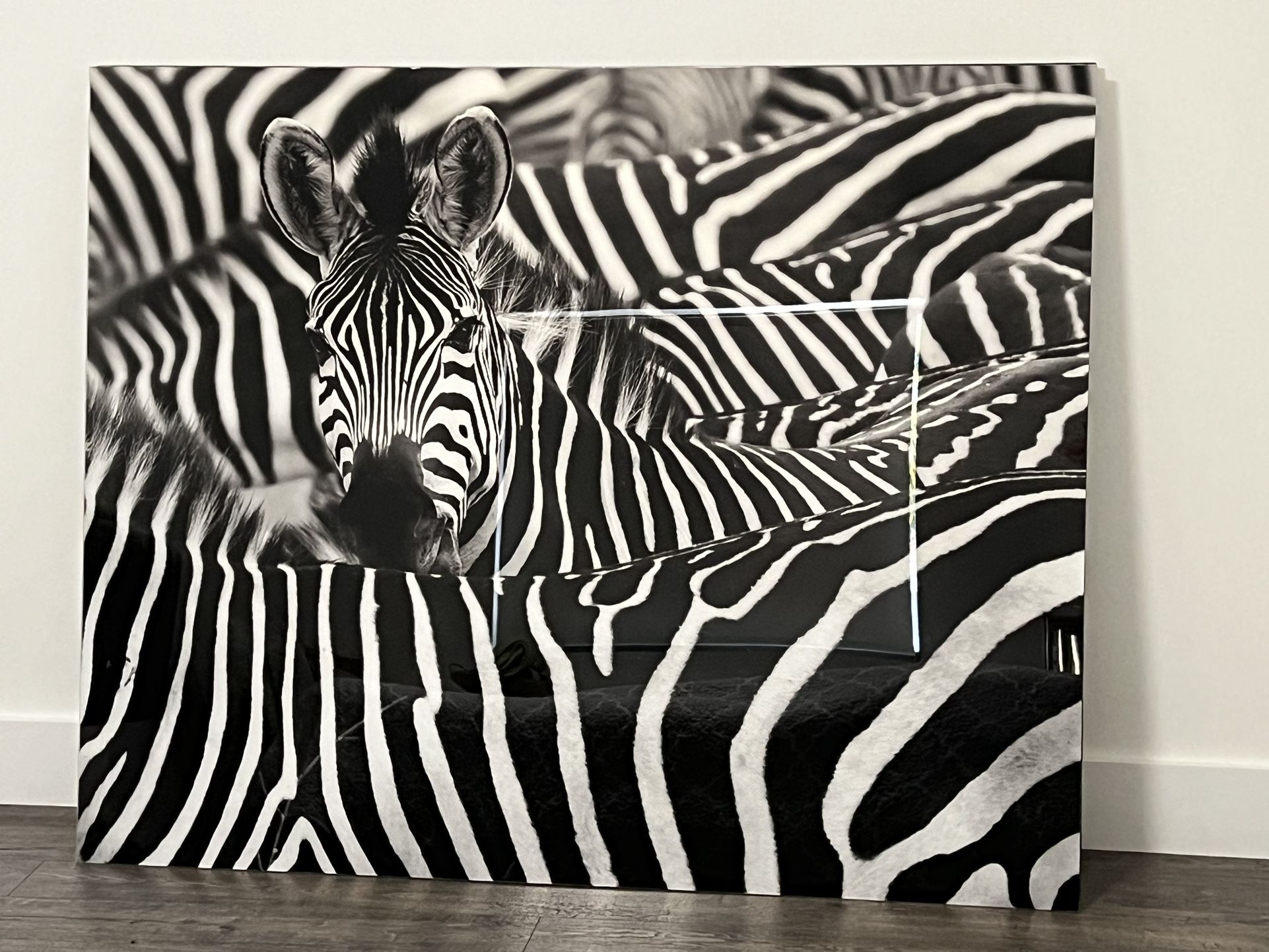 Wall Art - Acrylic artwork no frame W: 60" x H: 48"or W: 72" x H: 32"