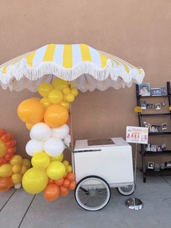 Paleta Cart