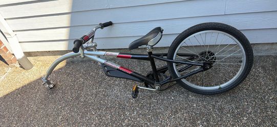 Trailer bike