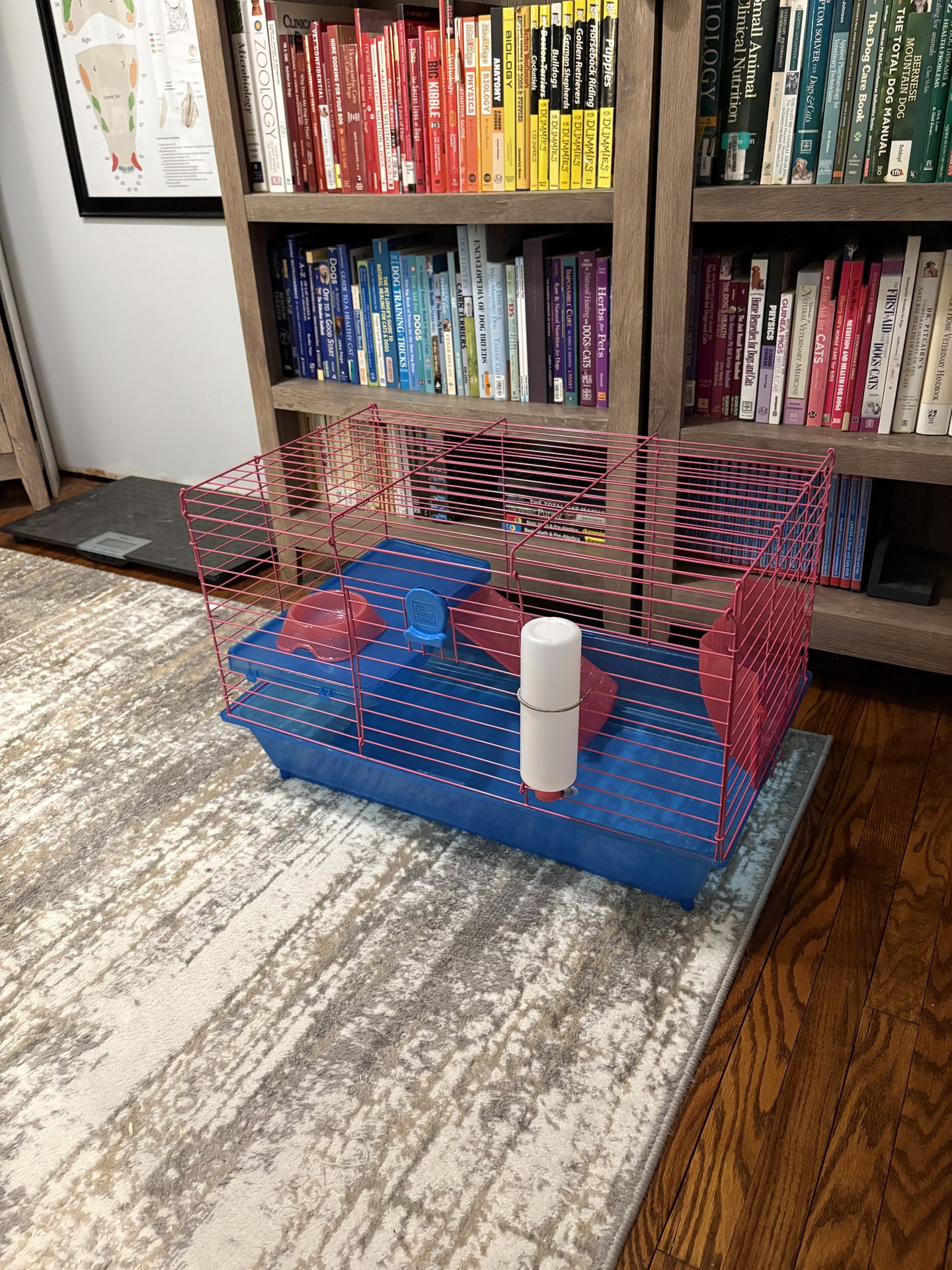 Guinea pig cage