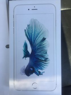 IPhone 6 Plus 64gb factory unlocked brand new