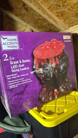 Home Accents Holiday 2.5 ft LED Oozing Cauldron