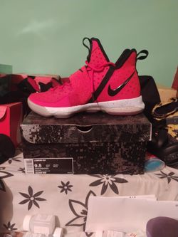 LeBron XIV Shoes $110