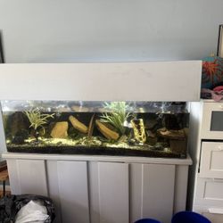 100 Gallon Aquarium