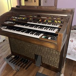 Organ