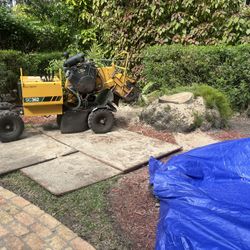Stump Grinding 