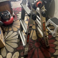 Little Giant - LADDER . 14ft 