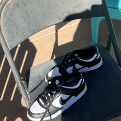 Panda Dunk Low used a few times 