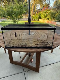 Reptile glass tank