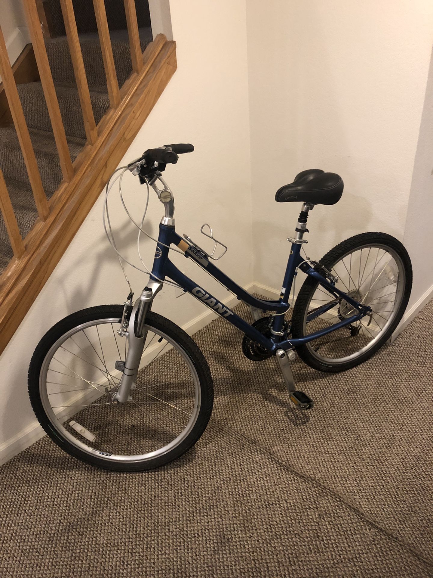 Giant Bike
