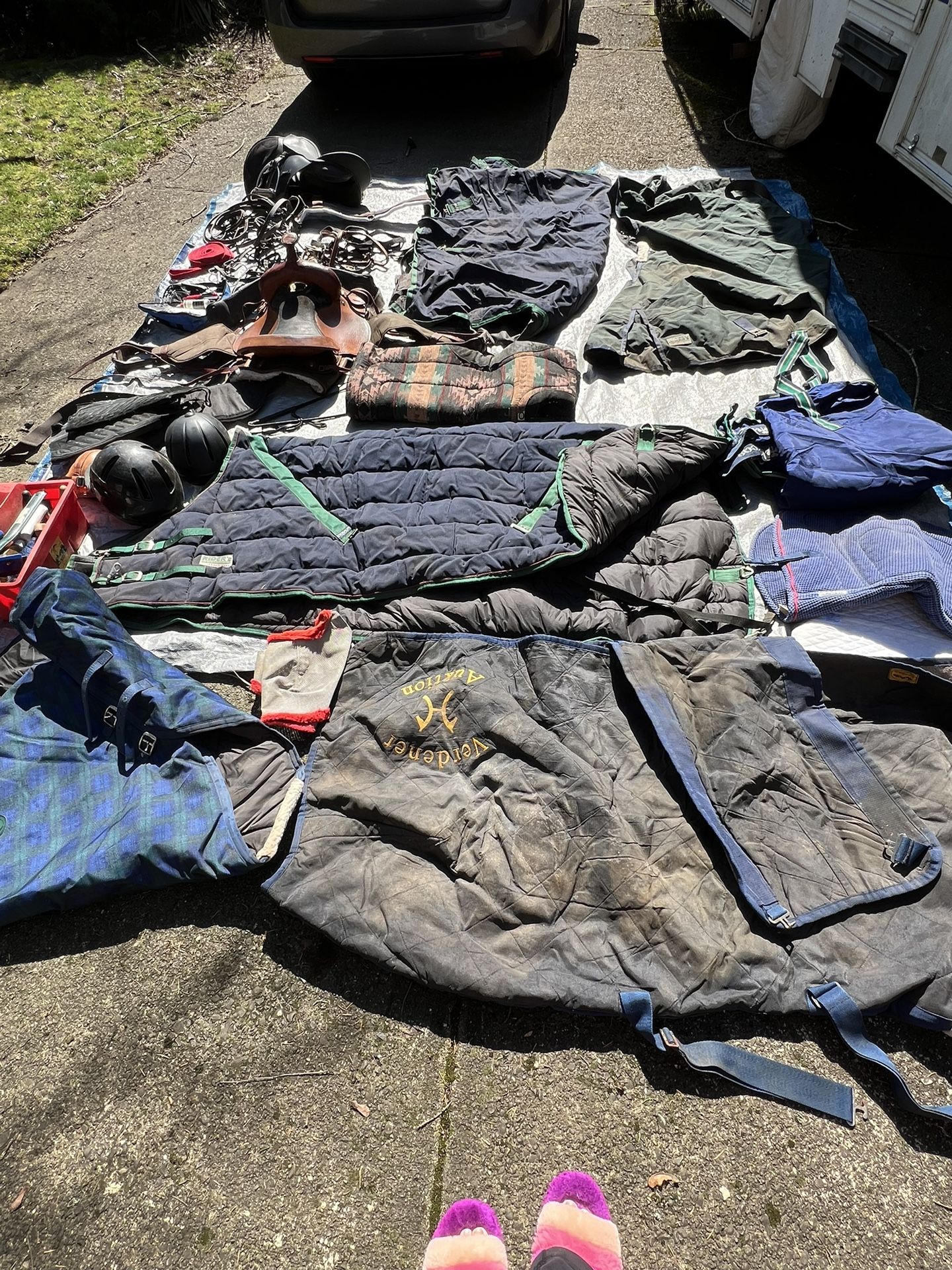 Horse/Equestrian Gear