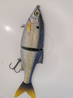 Swimbaits