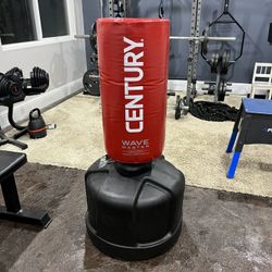 Century Wave Punching / Kicking Bag