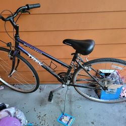 Trek Multi Trek 720 Bike