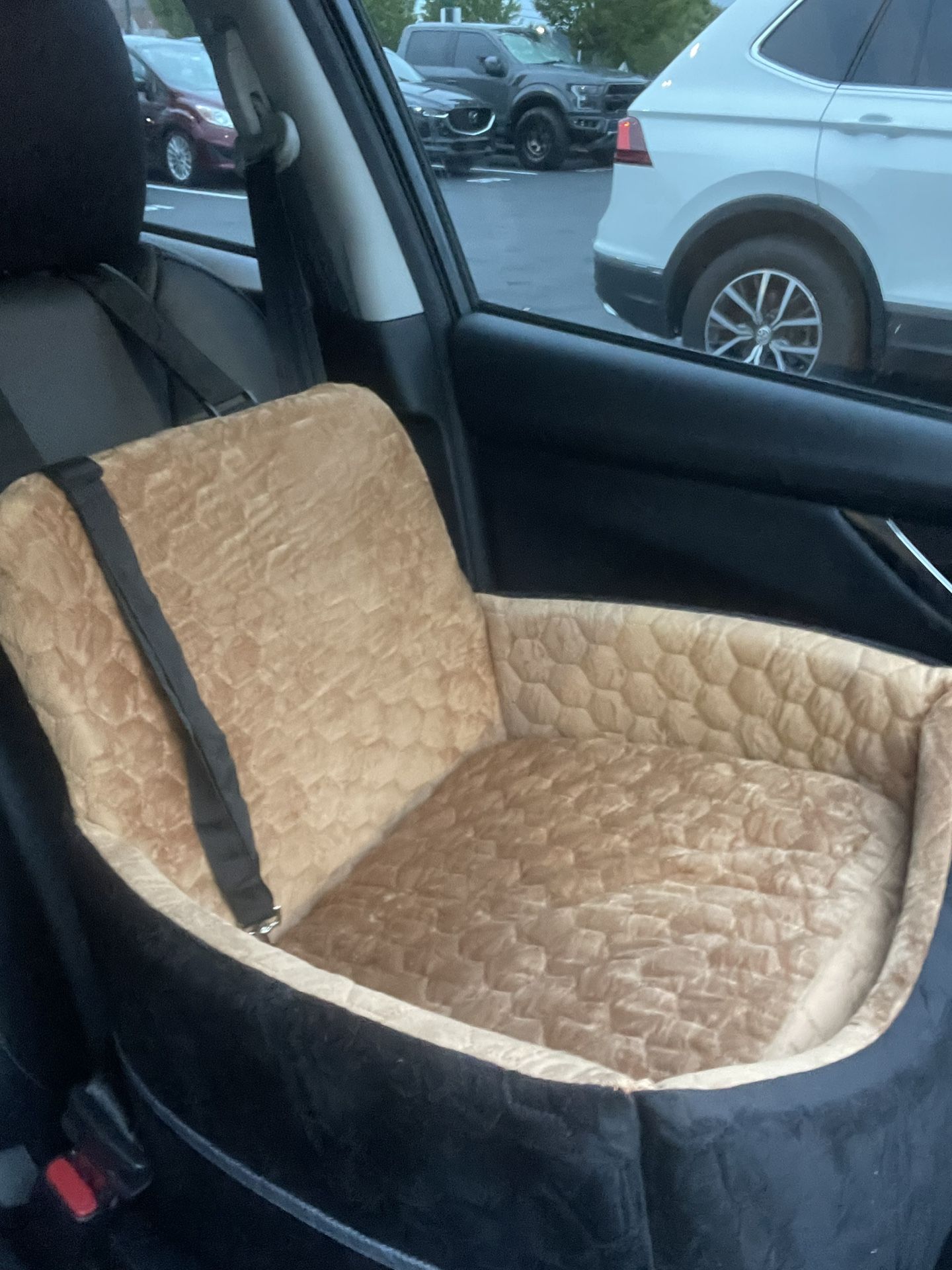 Dog Car Bed/Seat