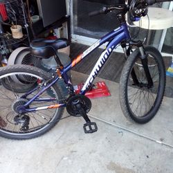 Schwinn Kids Bike "24