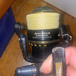 Dog Fight Daiwa