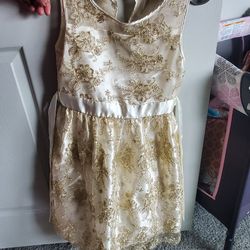 Size 12 Dresses 