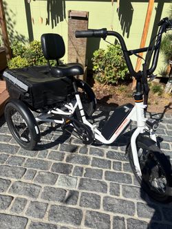 Rad Power Bikes Electric Trike
