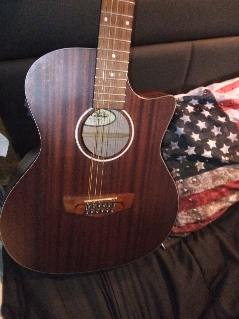 Acoustic Electric Guitar