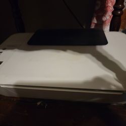 HP Printer