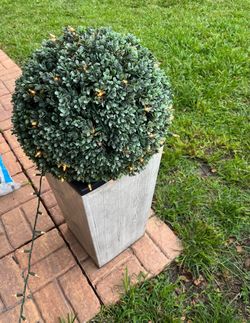 Artificial topiary