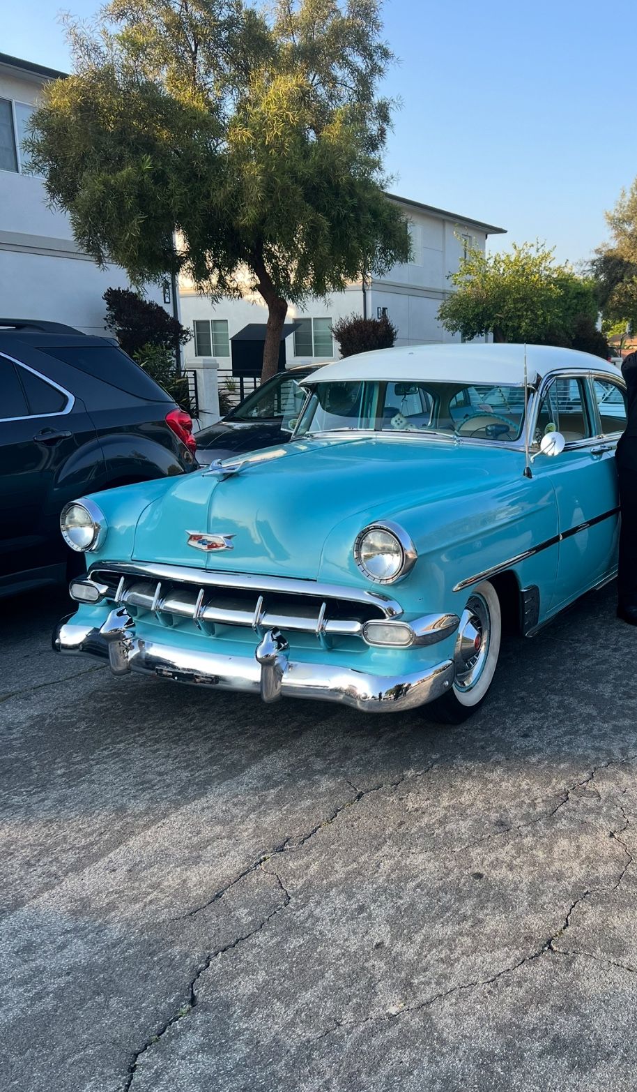 1954 Chevrolet Corvette