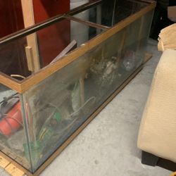 55 Gallon Glass Aquarium Fish Tank