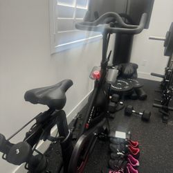 Peloton 