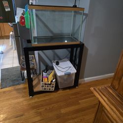 Fish Tank, stand And Filter 
