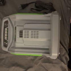Ego Rapid Charger