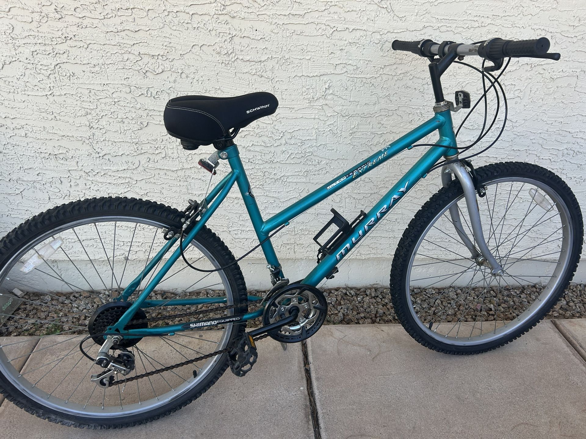 Murray 18” bike