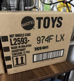 Hot Wheels Sealed F Case 2025