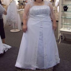 David's Bridal Dress