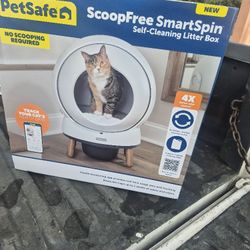 Kitty Litter Box