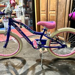 Schwinn sequin bike deals