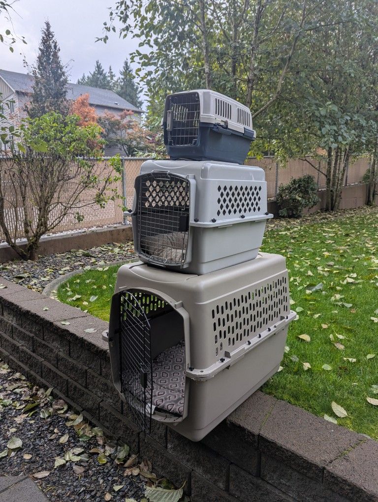 Dog Cat Animal Kennel House