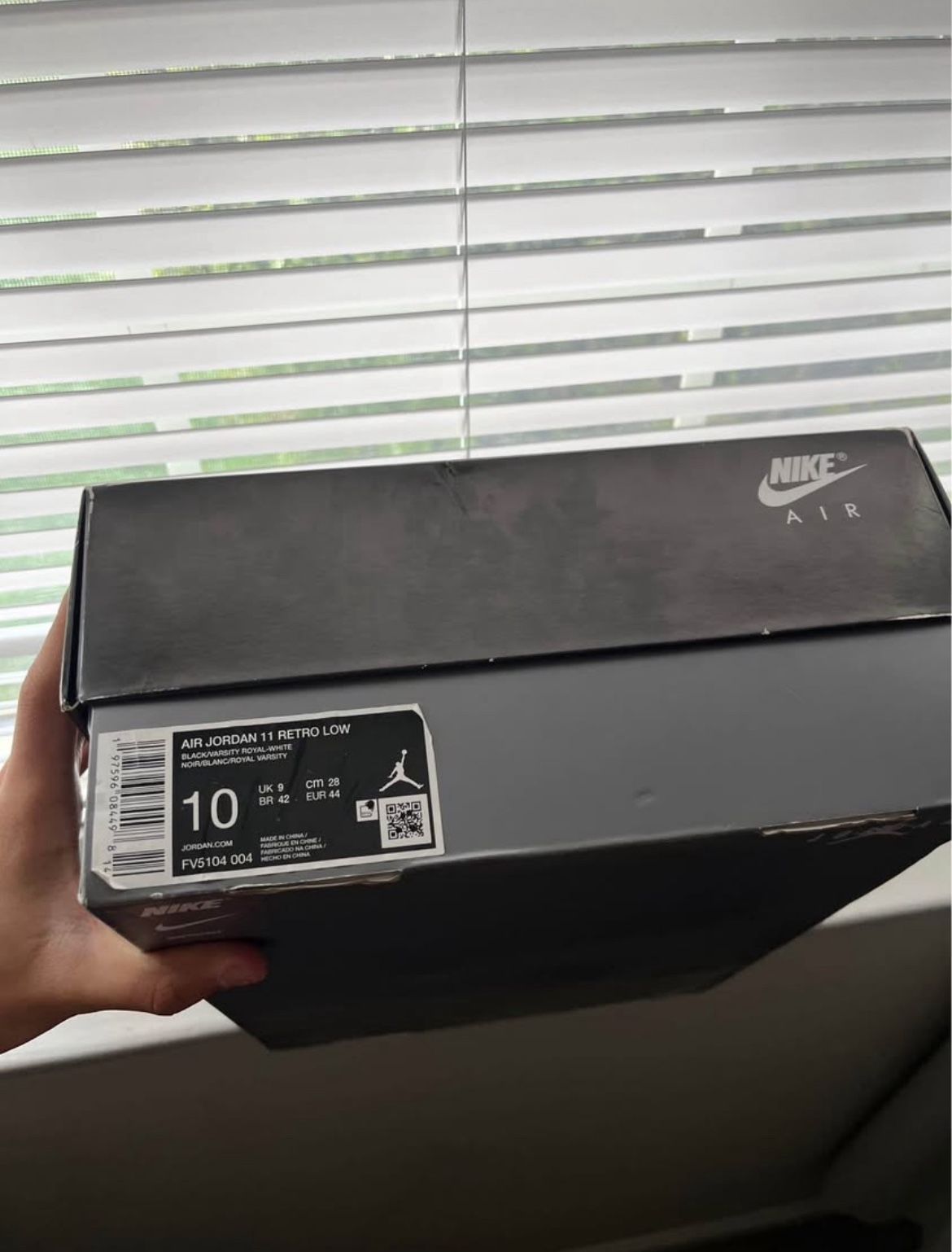 Jordan 11 Space Jam Low’s