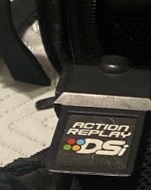 Dsi Action Replay