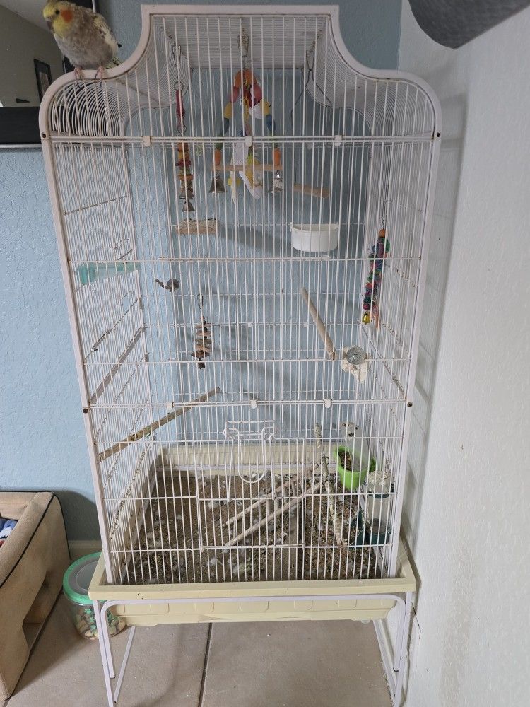 Bird Cage