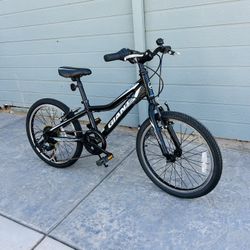 GIANT REVEL KIDS MOUNTAIN BIKE 20” Wheels 