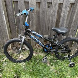 Schwinn Boys Bike
