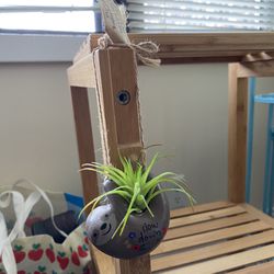 Mini Hanging Succulent, Chill Grey Sloth, Faux Plant