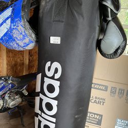 Punching Bag 70lbs Heavy Bag And Gloves