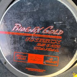 Phoenix Gold Speakers 