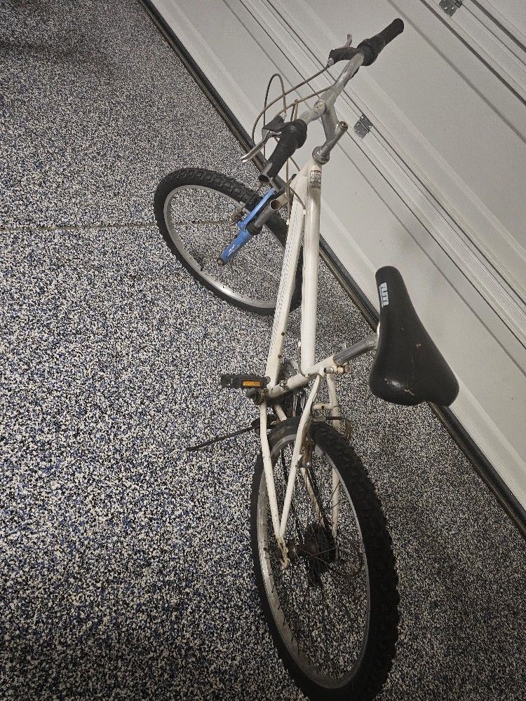 26 Inch Roadmaster Mountain Bike