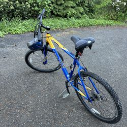 18 speed mountain bike(Trek 3900)