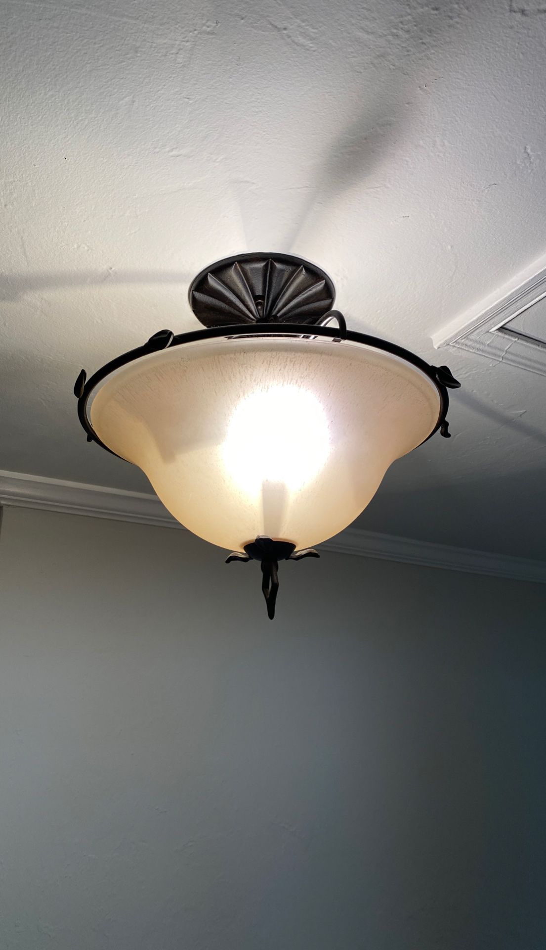 Ceiling Light